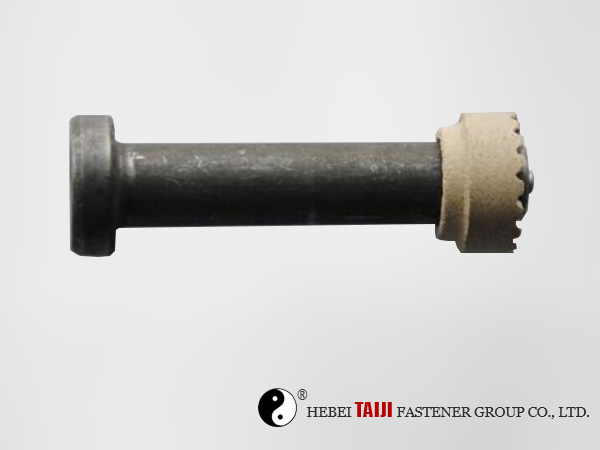 Cheese head studs for stud we... Cheese head studs for stud we...